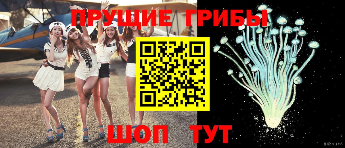 Алейск  Псилоцибиновые грибы прущие грибы  Псилоцибиновые грибы мухоморы  Вход с VPN 